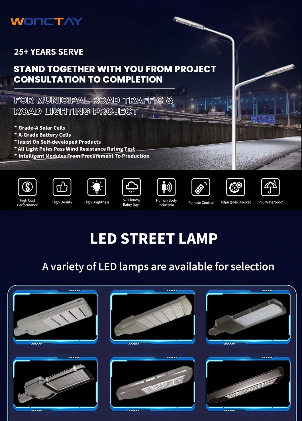 Outdoor Garden LED Light
