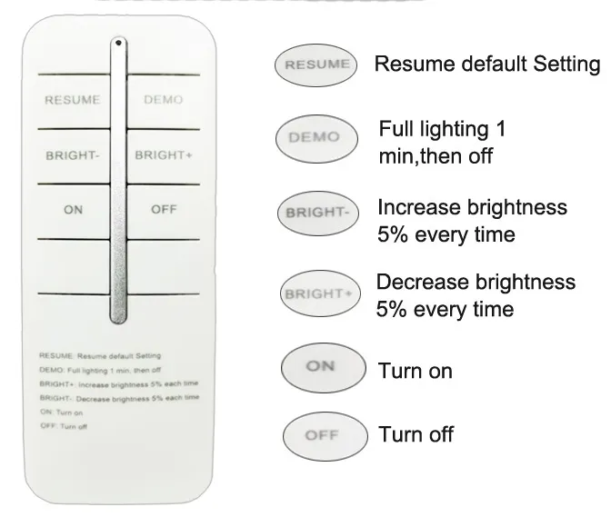 Lighting Mode Detail