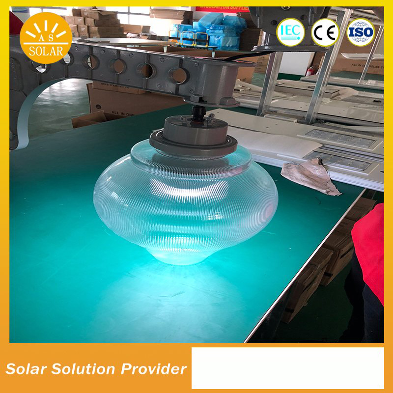 4m Pole 10W Decorative Solar Garden Light Solar Peach Light for Garden Yard