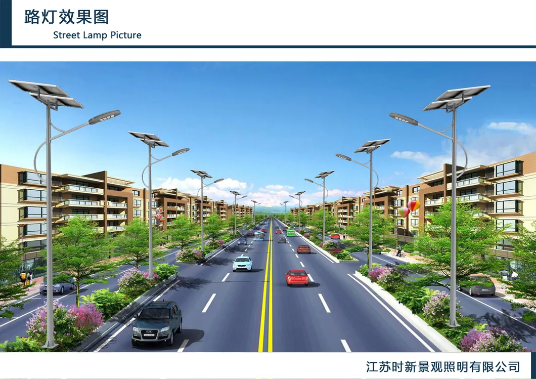 Solar Street Light Packaging