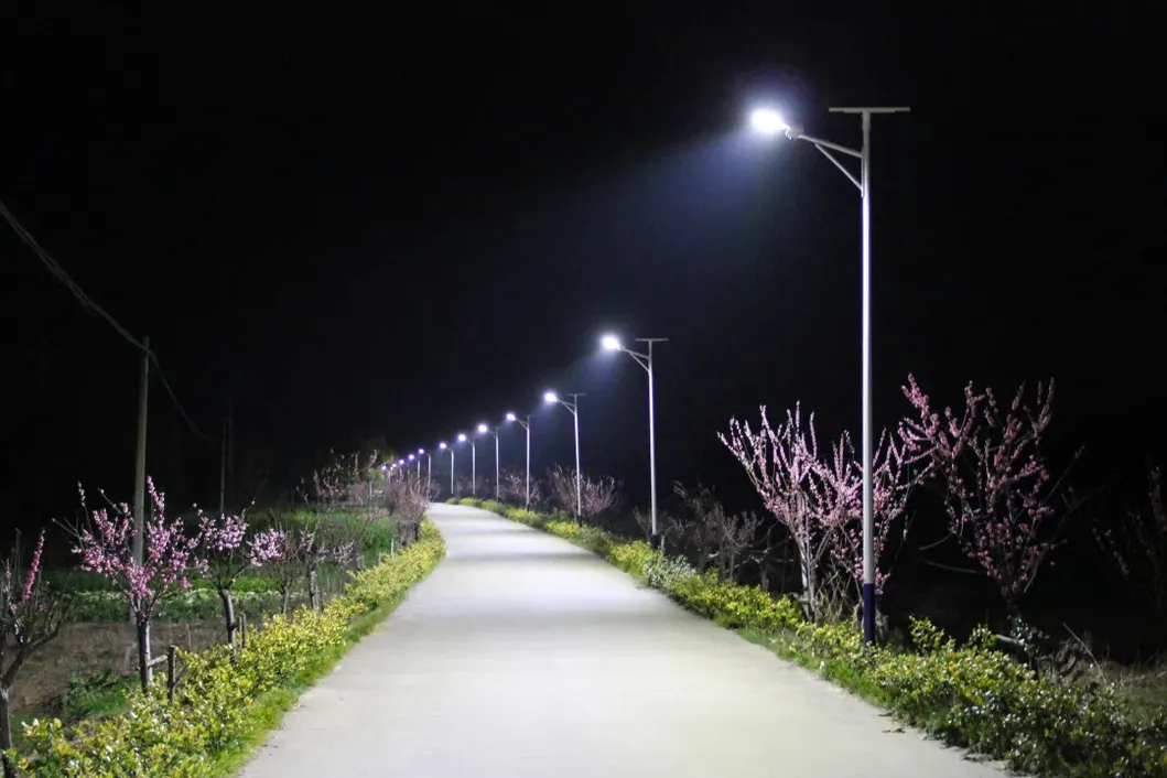 Solar LED Lamp