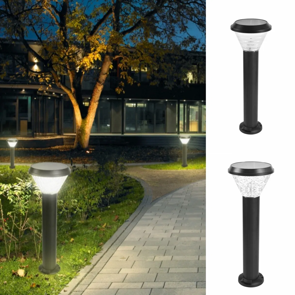 Eco-Friendly Solar LED Path Lights for Garden Decoration