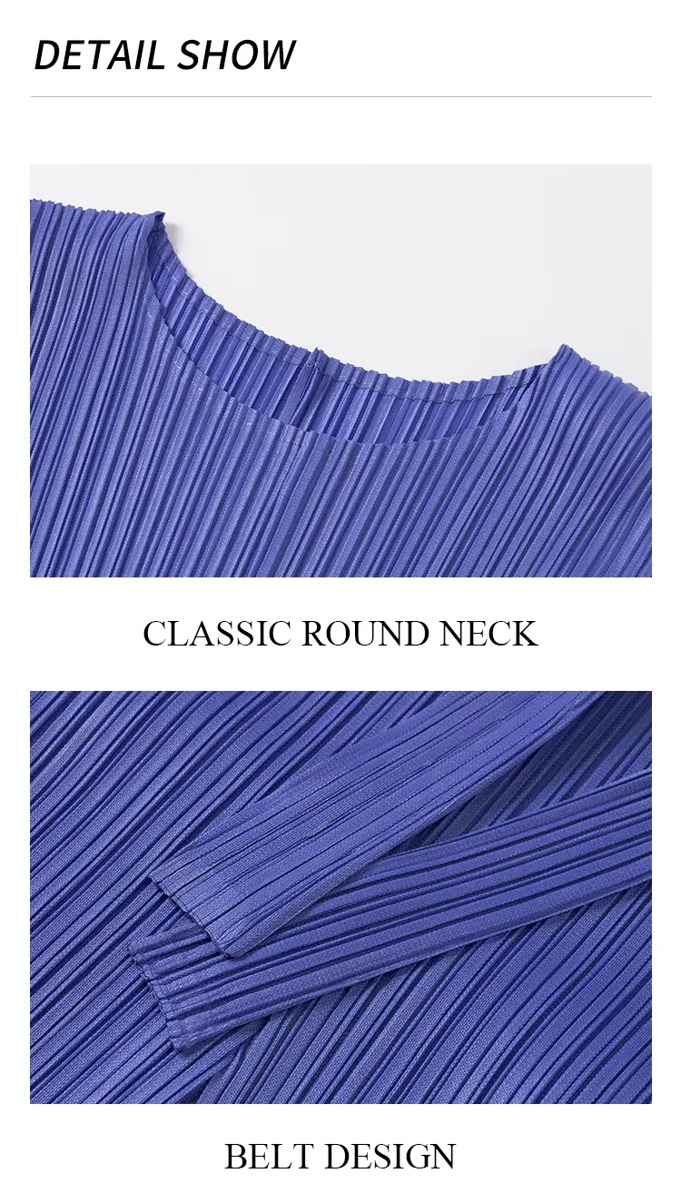 Pleated Dress View 7