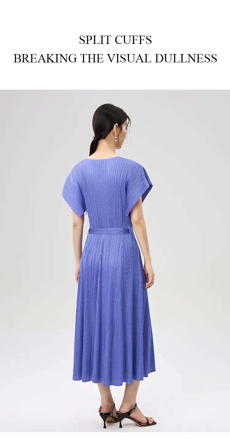 Pleated Dress View 5