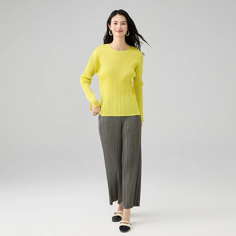 High-Quality Elegant Long Sleeve Pleated Top for Women Factories, Product