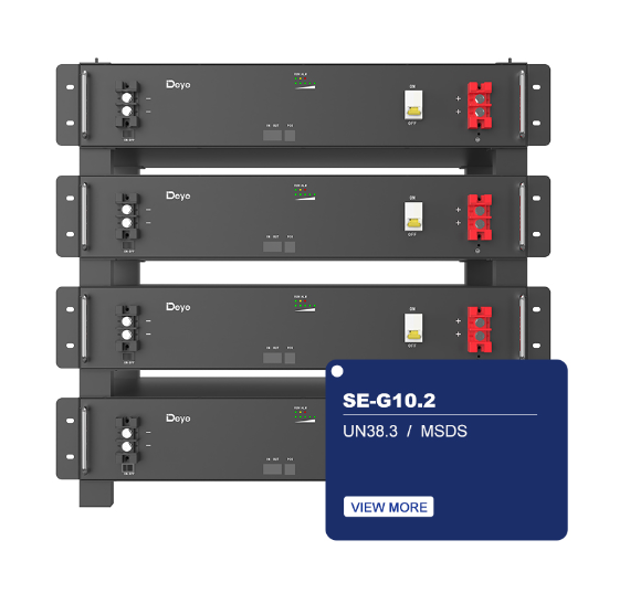 Deye SE-G10.2