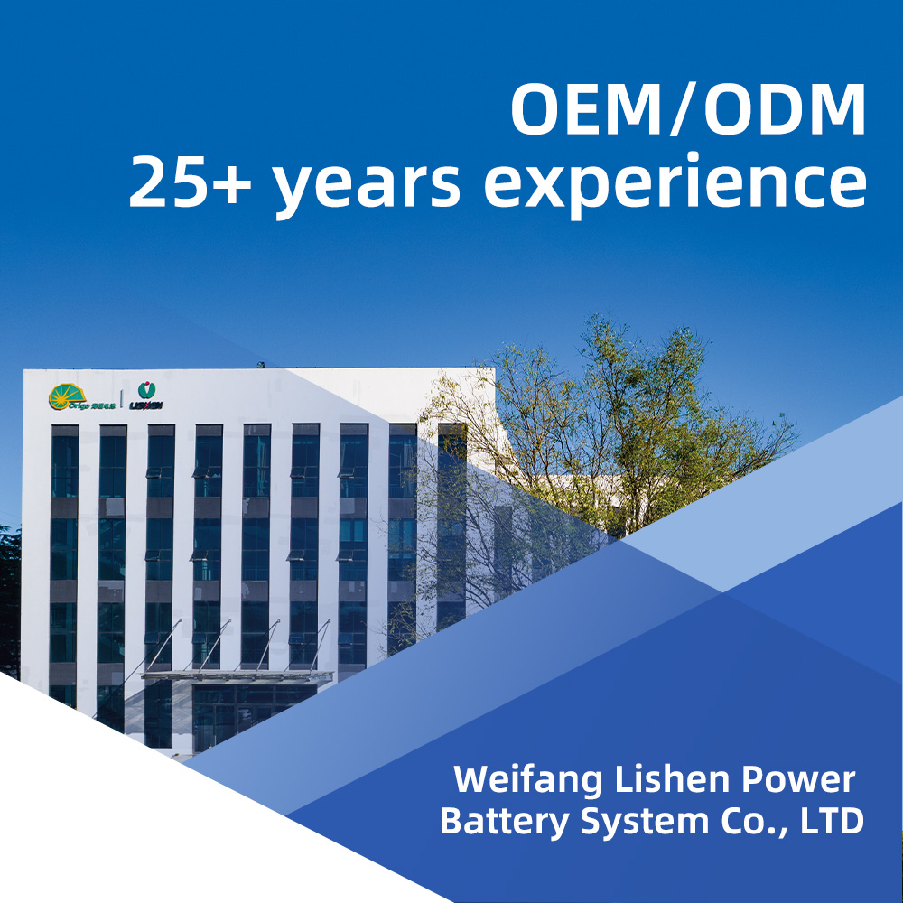 Custom Industry ess 800 300ah 1mw Container Battery System Energy Storage Lithium Solar