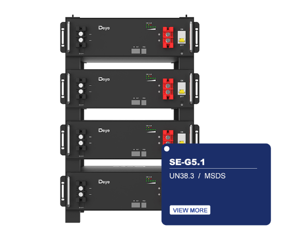 Deye SE-G5.1
