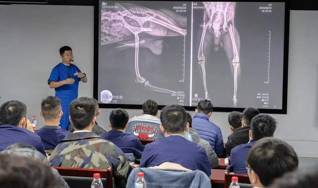 Professional training course