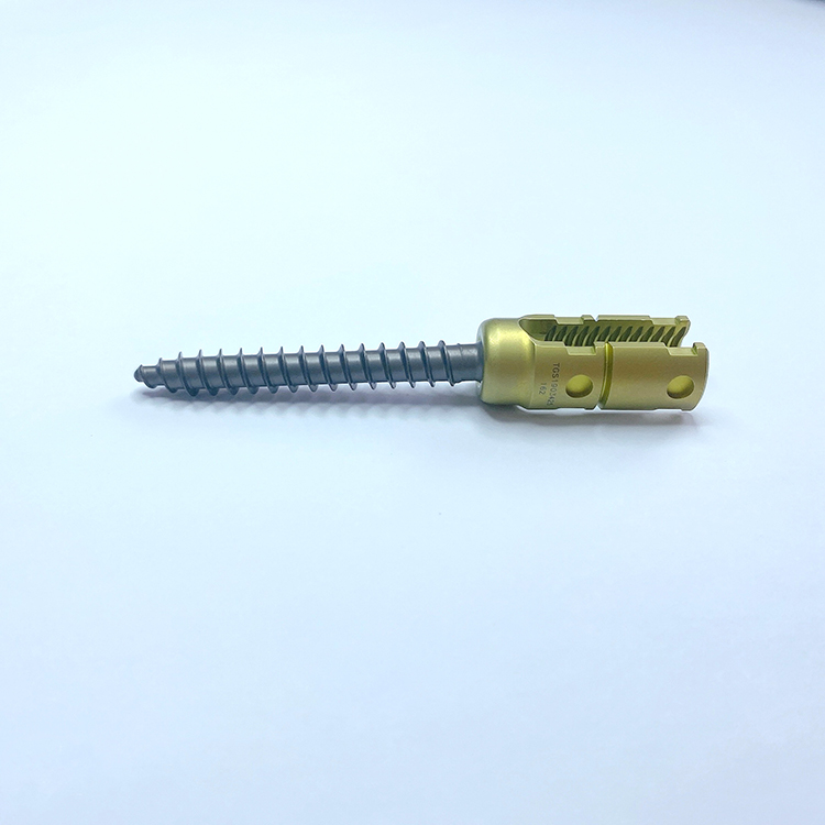 Geasure 6.0 Reduction Polyaxial Pedicle Screw System Titanium Orthopedic Surgical Implants for Spinal Surgery