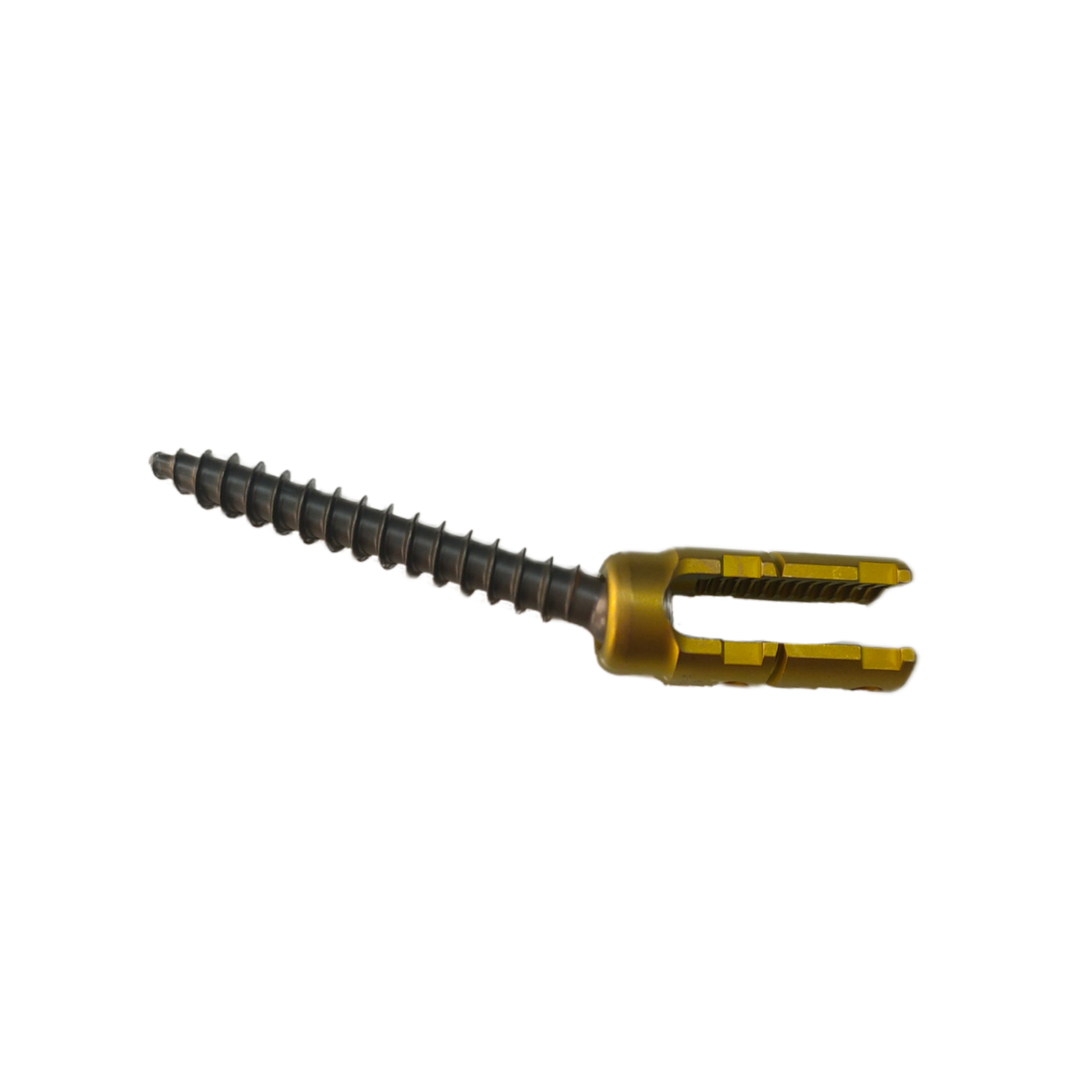 Geasure Titanium Polyaxial Pedicle Screw GB1Z-II 6.0mm for Spine Surgery