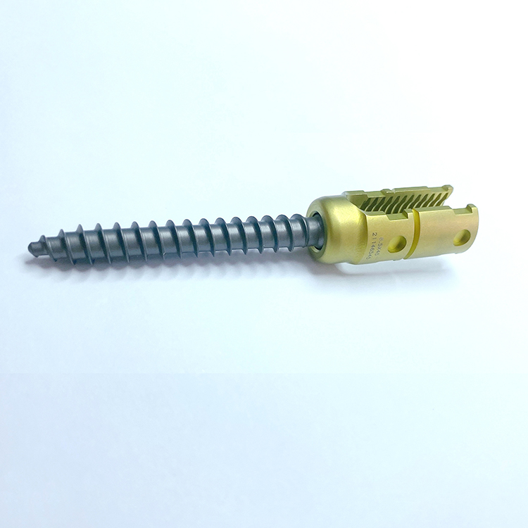 Product Detail 2