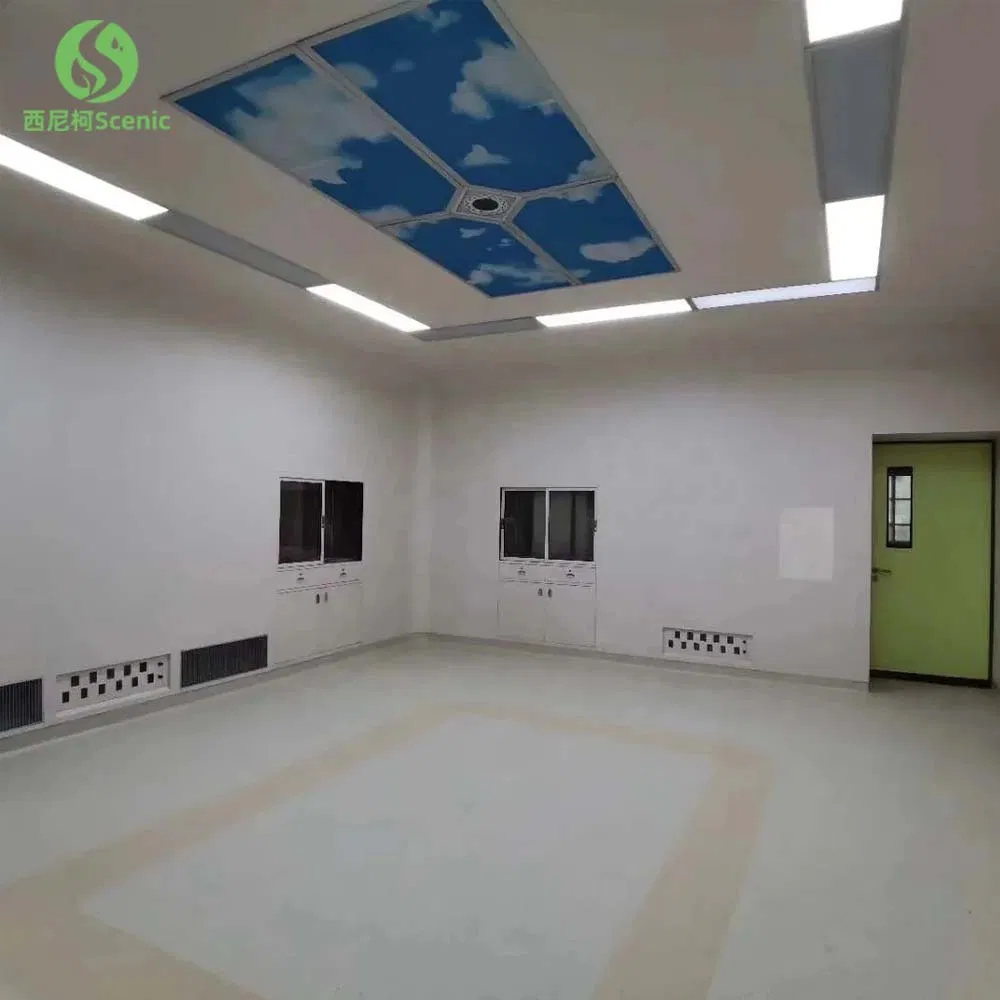 Advanced Class 100 Surgical Theatre Solutions for Modern Healthcare Facilities