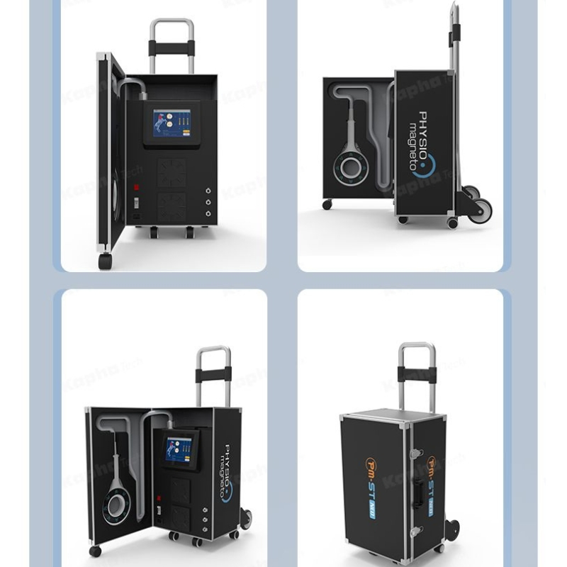 Water Cooled Magnetic Therapy Device for Animals Veterinary Pulsed Magnetic Therapy System