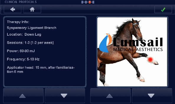 Smart-Wave Version 10.0 Veterinary Shockwave Therapy System