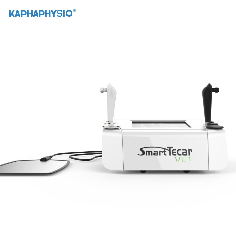 Smart Tecar Veterinary Chronic Injury Management Horse Performance Enhancement Diathermy Therapy Machine