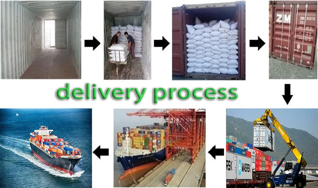 Shipping Logistics