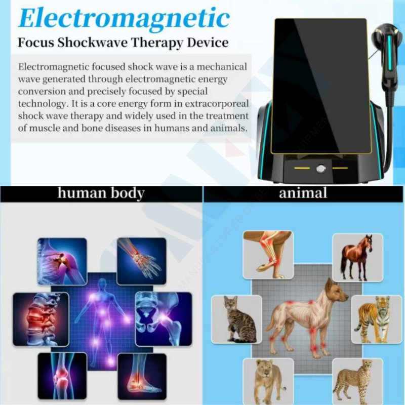Focus Shockwave Therapy System for Body Healing and Circulation Enhancement