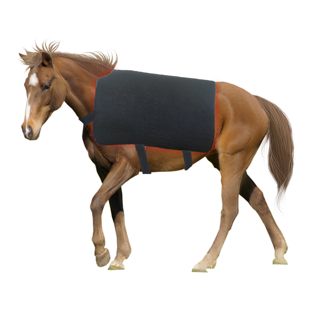 New Custom 115X90cm Near Infrared Red Light Therapy Horse Back Wrap Belt