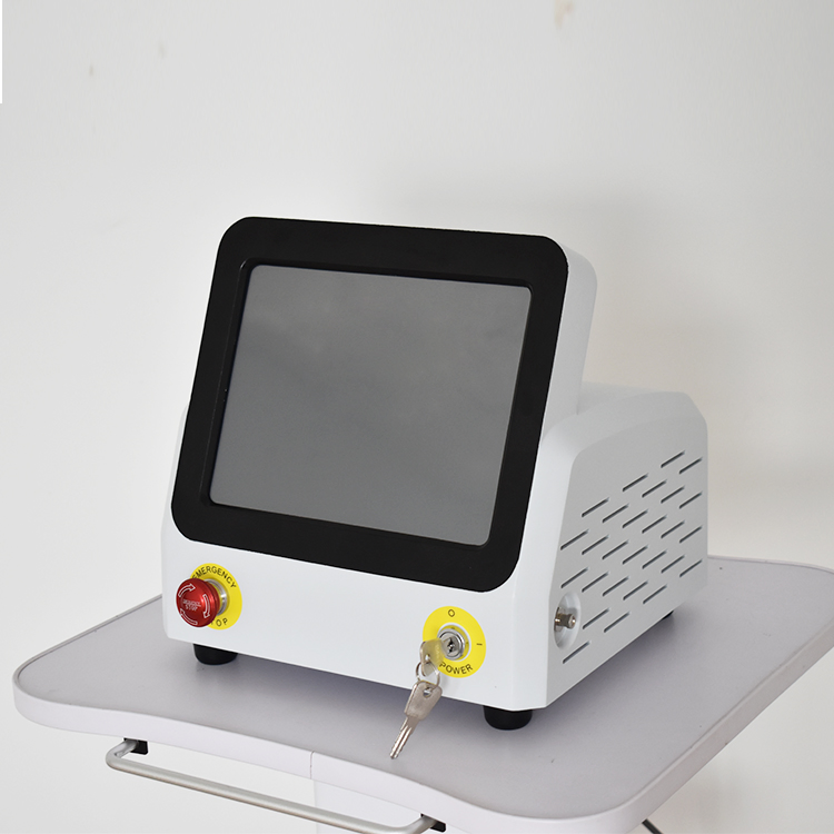 Heat Therapy Portable Physiotherapy 980nm Diode Laser Machine Multifunctional Pulse Equipment