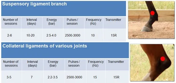 Clinical Application 2
