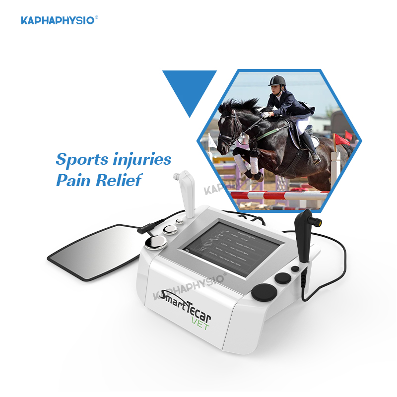 Smart Tecar Veterinary Chronic Injury Management Horse Performance Enhancement Diathermy Therapy Machine