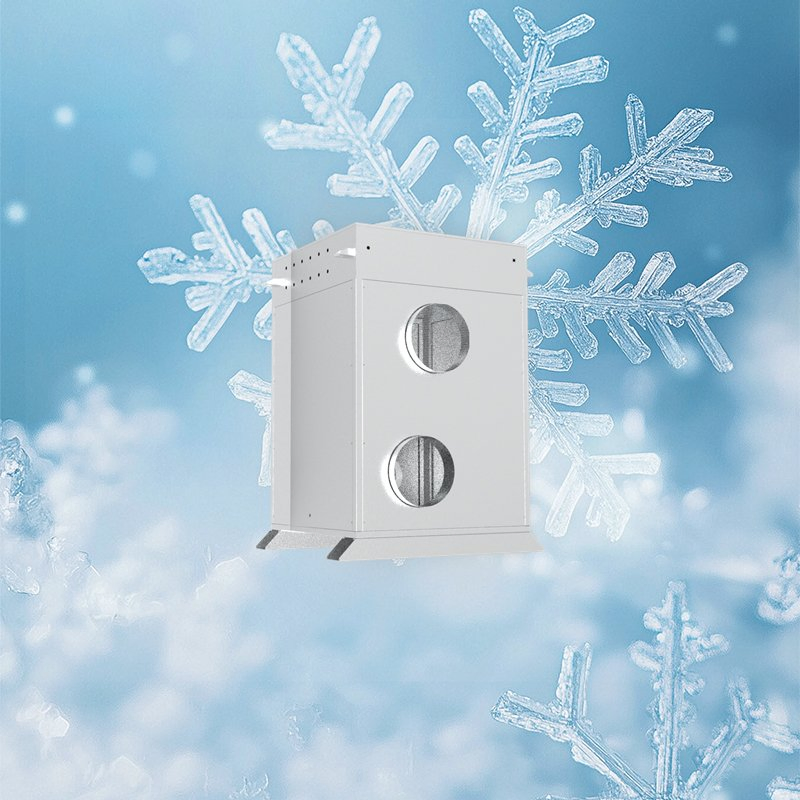 Hybrid Pipe-Array Frost-Free Construction Solution with Heat Recovery for Meat Processing Plants