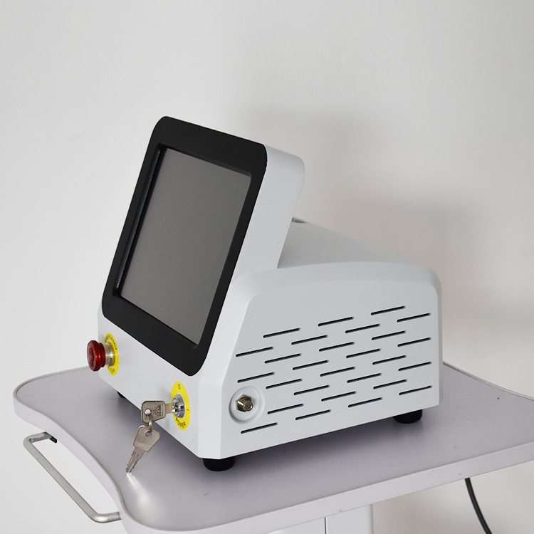 Heat Therapy Portable Physiotherapy 980nm Diode Laser Machine Multifunctional Pulse Equipment