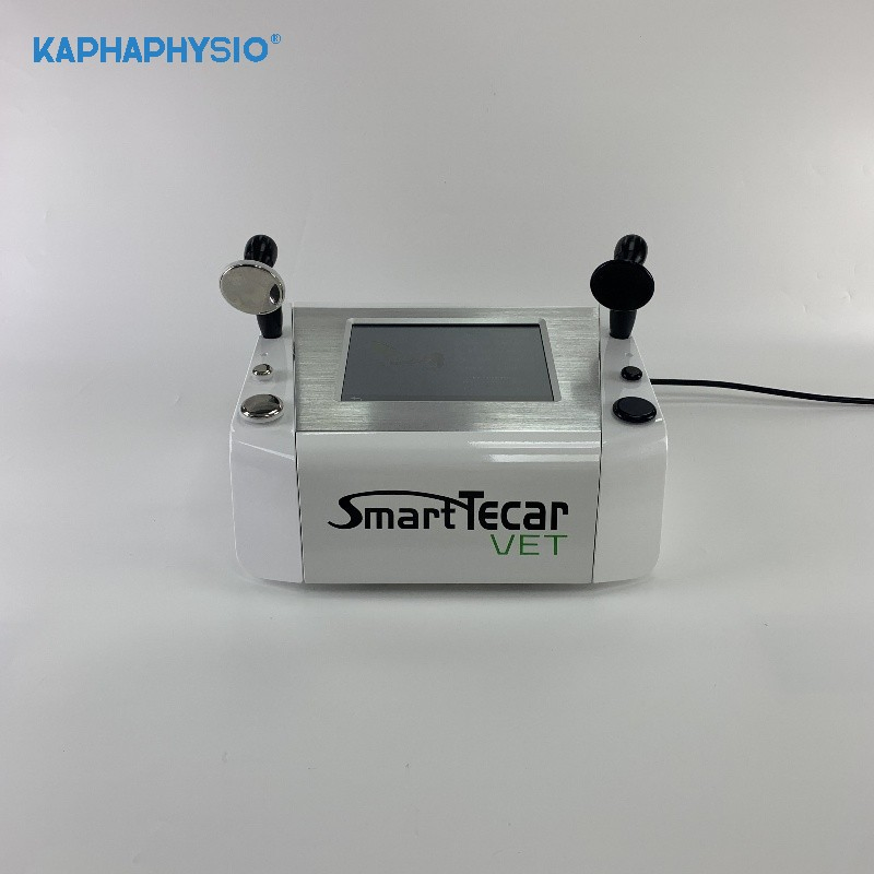 Smart Tecar Veterinary Chronic Injury Management Horse Performance Enhancement Diathermy Therapy Machine
