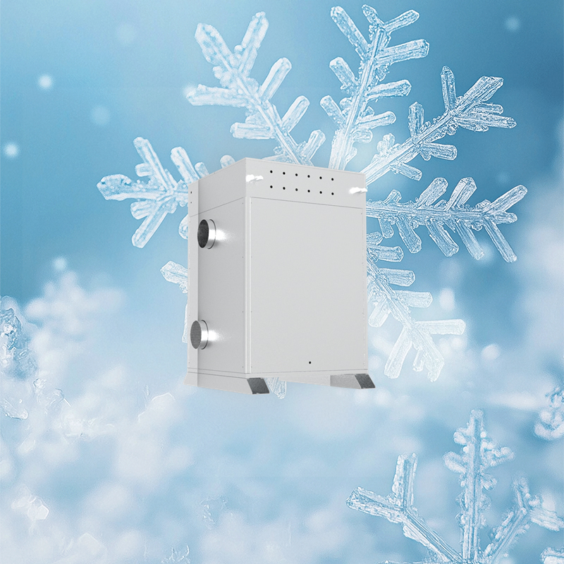 Hybrid Pipe-Array Frost-Free Construction Solution with Heat Recovery for Meat Processing Plants