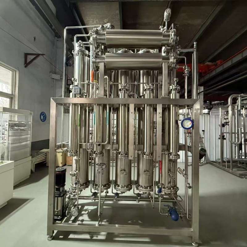 Lds 6000L/H Automatic Six Column Industrial Water Purification System