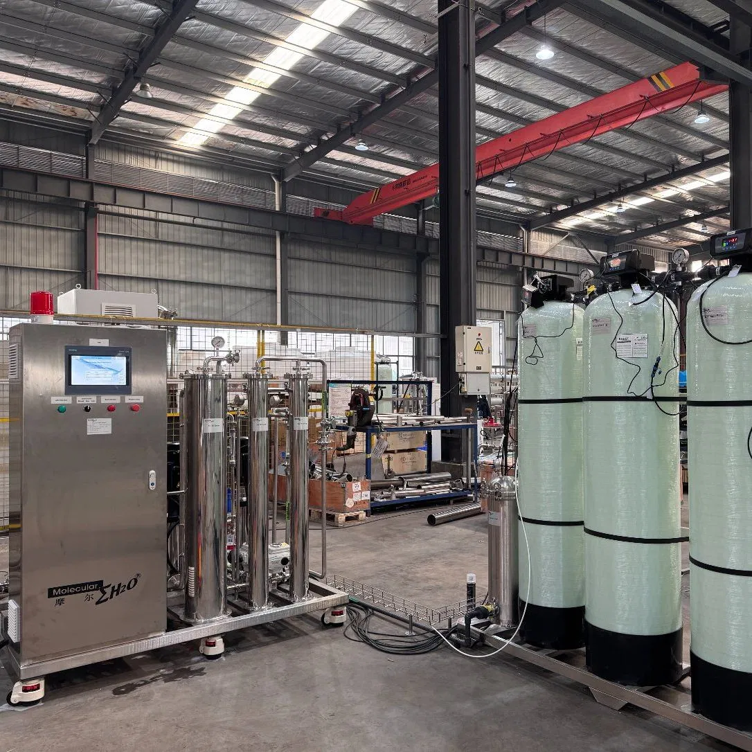 500lph Hemodialysis Pure Water System Double Stage RO with Heat Disinfection