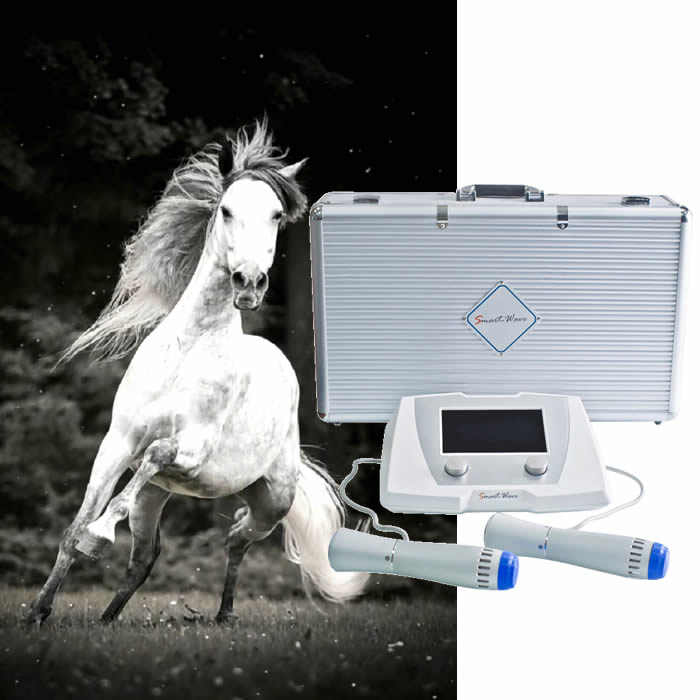Smart-Wave Version 10.0 Veterinary Shockwave Therapy System