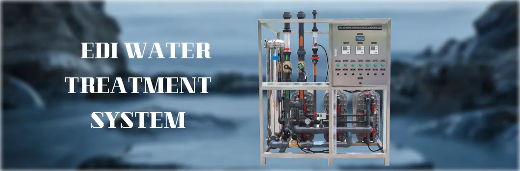 Ultrapure water equipment