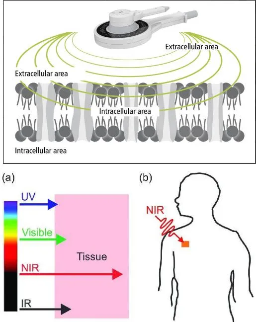 Magneto NIRS Applicator