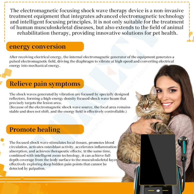 Focus Shockwave Therapy System for Body Healing and Circulation Enhancement