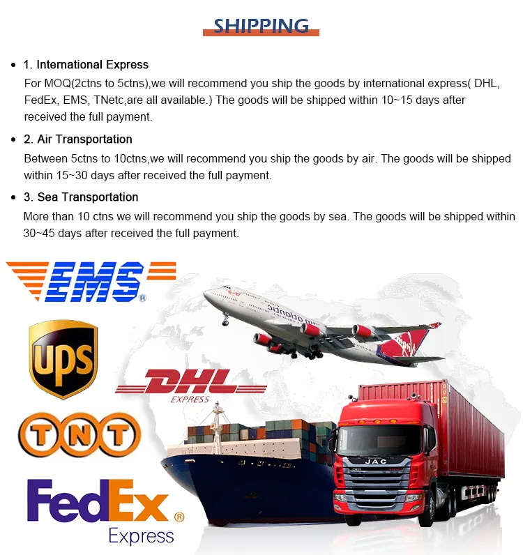 Shipping Logistics