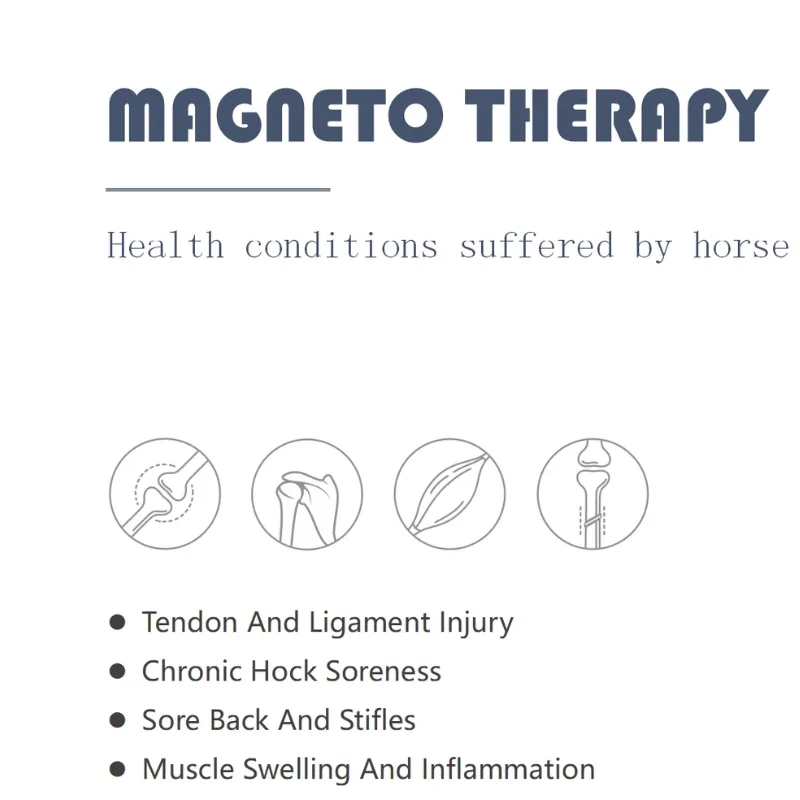 Animal Magnetic Therapy 1