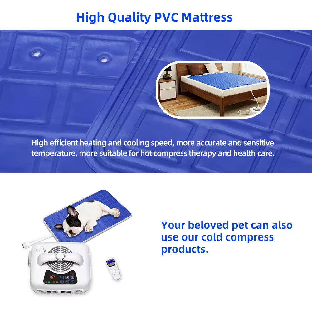 Physiotherapy Rehabilitation Body Heat Pad Device Ice Cold Cryotherapy Hot Therapy System