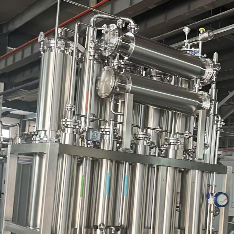 Lds 6000L/H Automatic Six Column Industrial Water Purification System