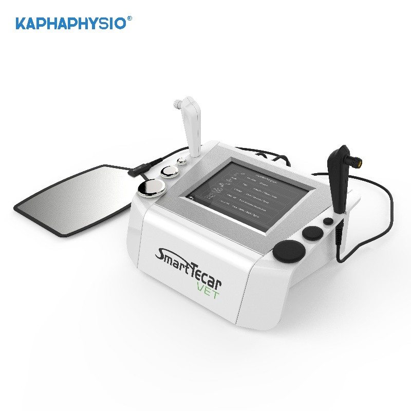 Smart Tecar Veterinary Chronic Injury Management Horse Performance Enhancement Diathermy Therapy Machine