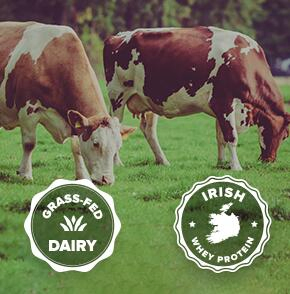 Factory Price Fat Loss Whey Protein Lactose Free Ca Whey Isolate Protein Powder