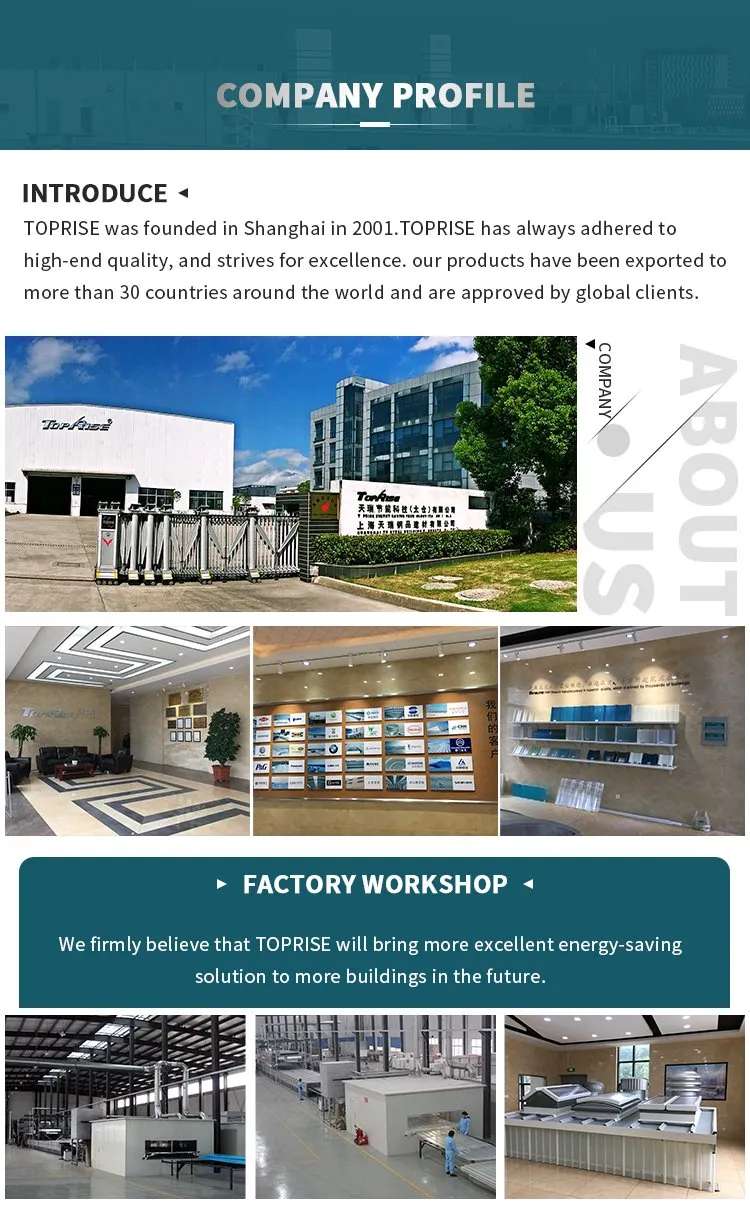 Large Installation View