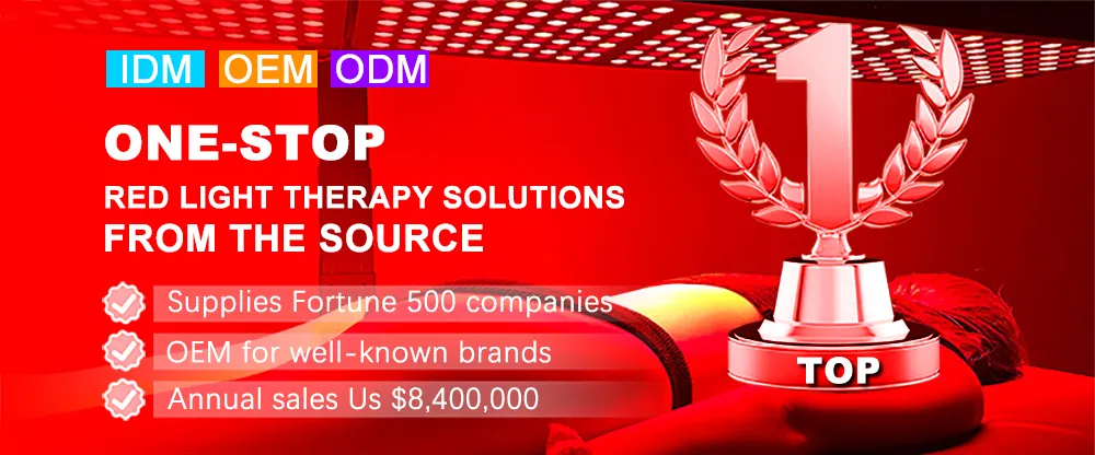 Professional LED Therapy Device