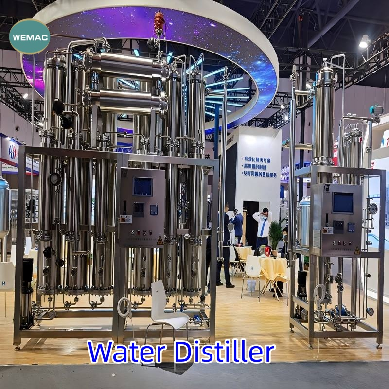 Lds 6000L/H Automatic Six Column Industrial Water Purification System
