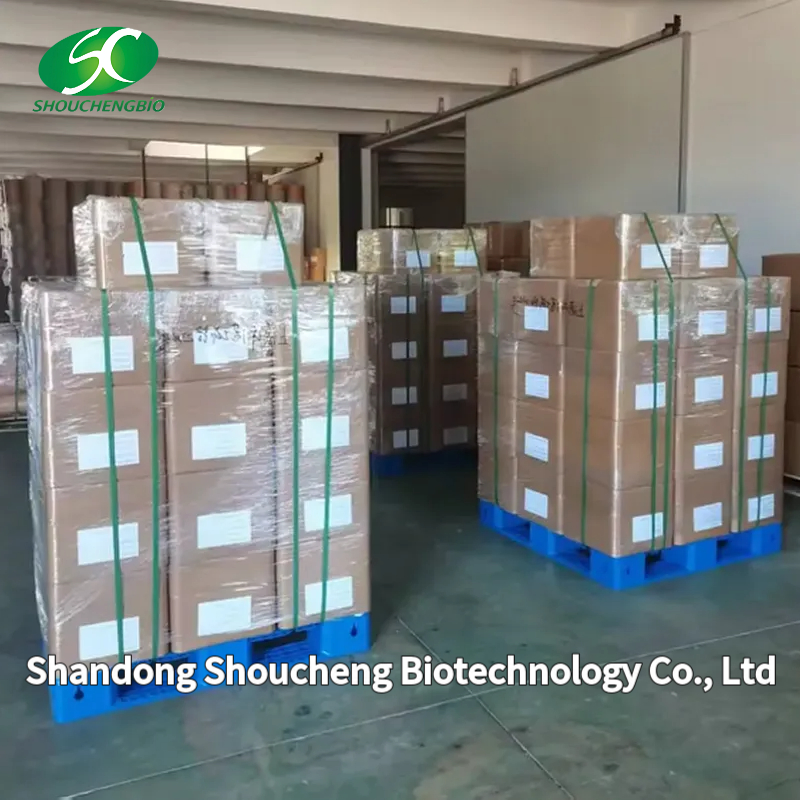 Wholesale Creatine Monohydrate Powder Supplement