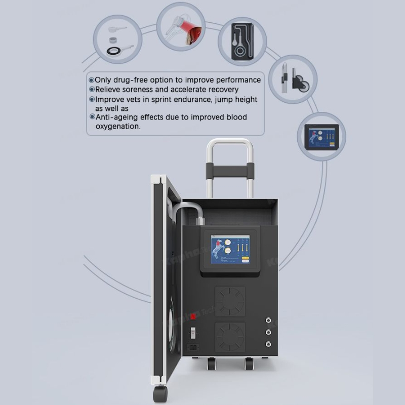 Water Cooled Magnetic Therapy Device for Animals Veterinary Pulsed Magnetic Therapy System