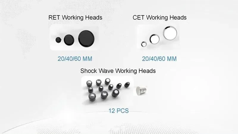 Clinical Application