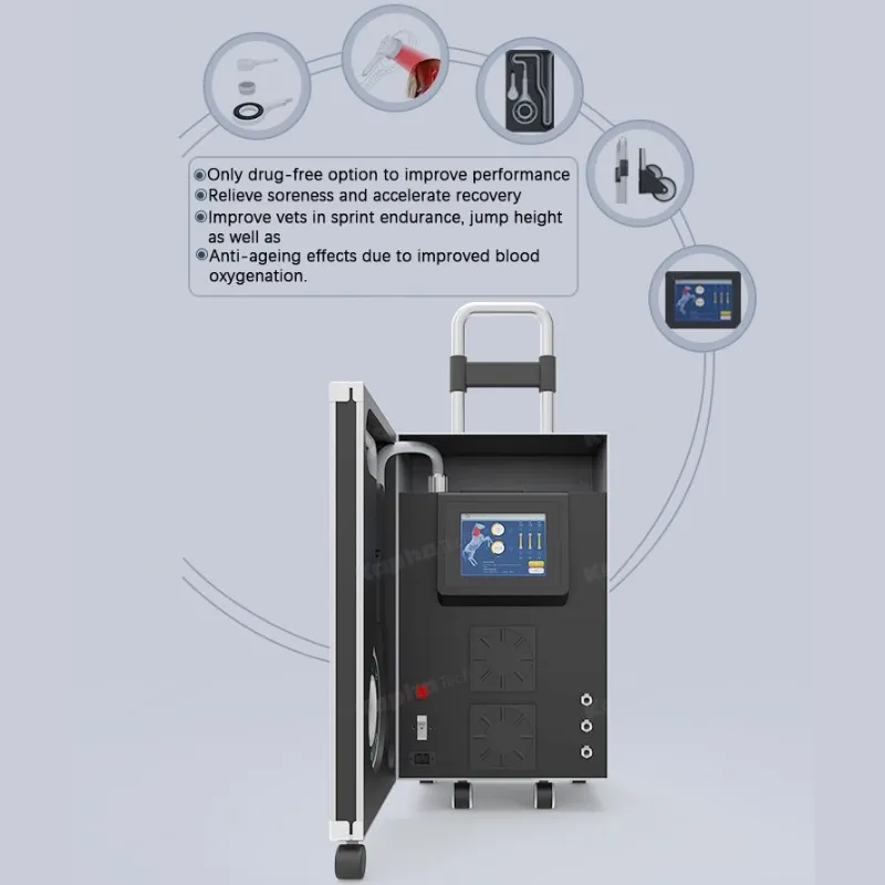 Animal Magnetic Therapy 2