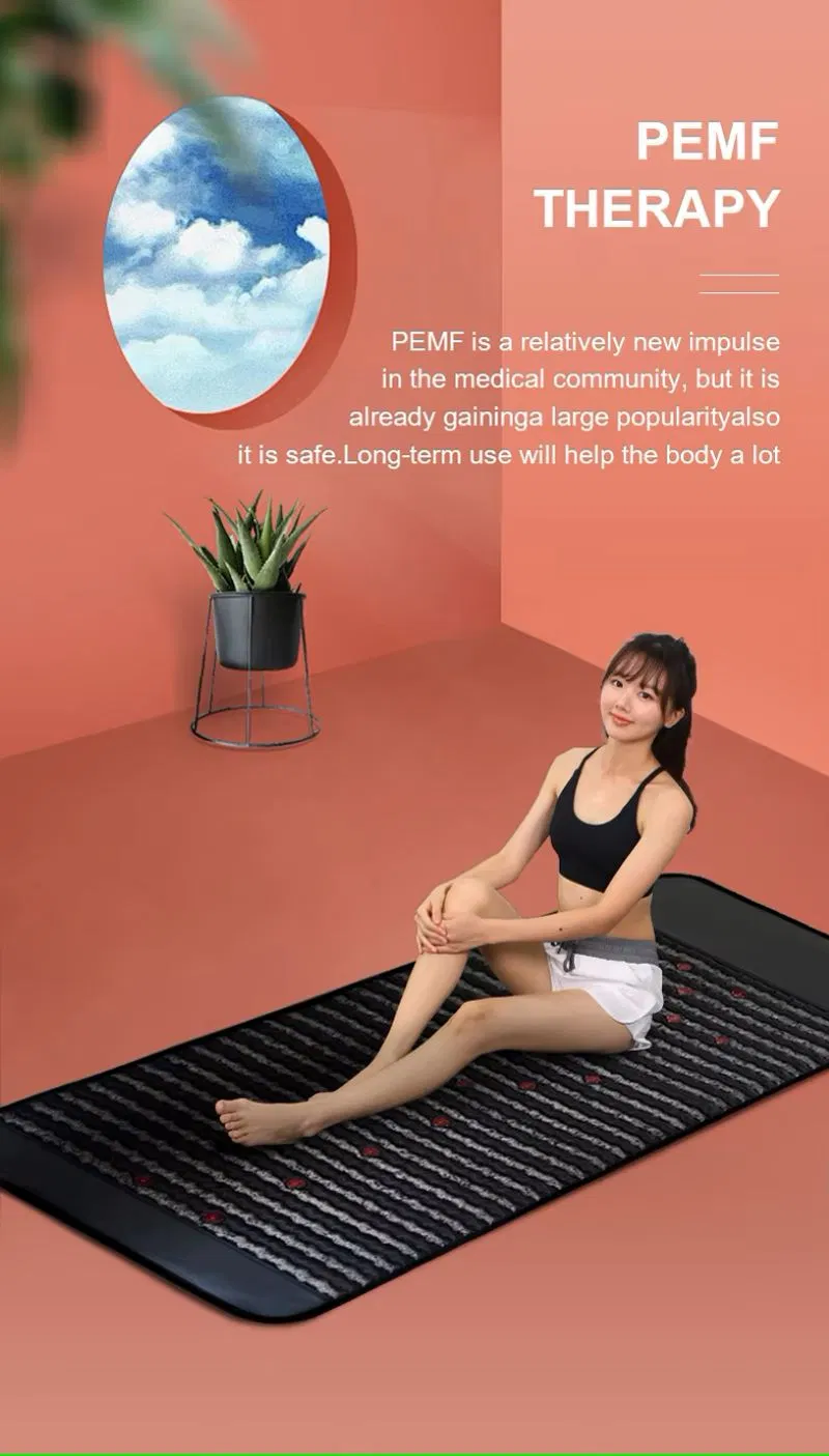 PEMF Mat View 2